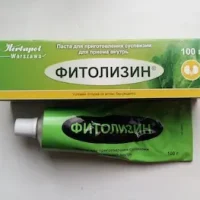 Fitolizin paste 100 g.