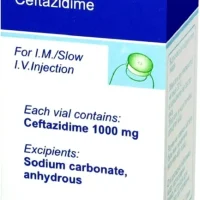 Lorazidim (ceftazidime) injection 1000 mg. #1